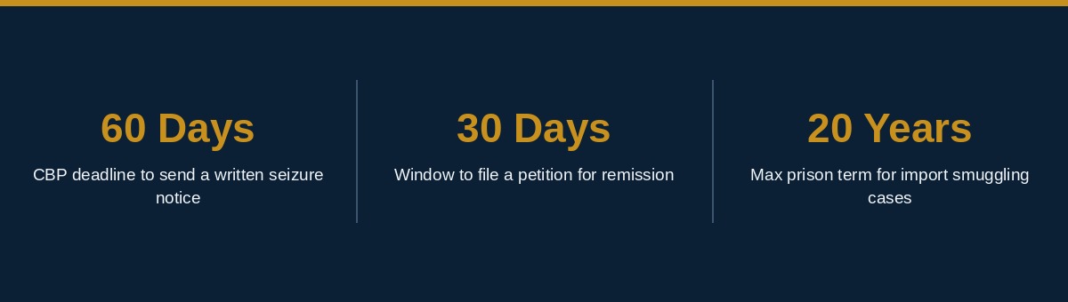 Timeline showing what happens after a personal import gets seized by customs, from the 60-day notice to a final decision